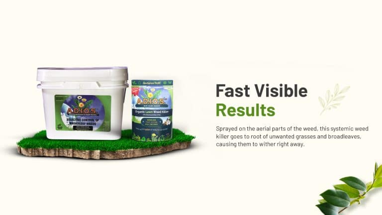 fast visible results