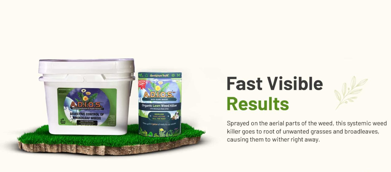 Selective organic herbicide for lawn weed control showing fast visible results on broadleaf weeds