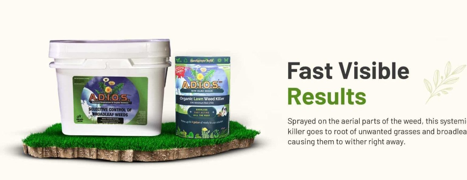 Selective organic herbicide for lawn weed control showing fast visible results on broadleaf weeds