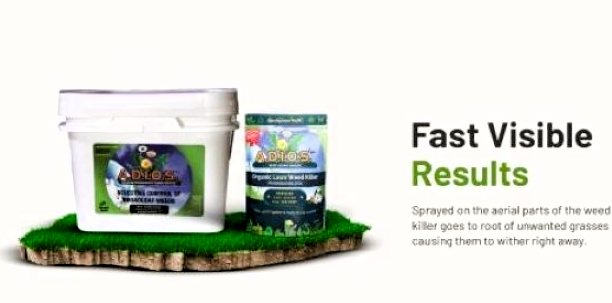 natural weed killer for lawn