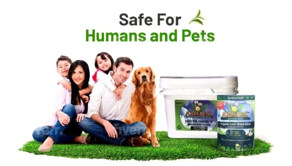 pet safe organic weed killer safe for humans and pets lawn treatment