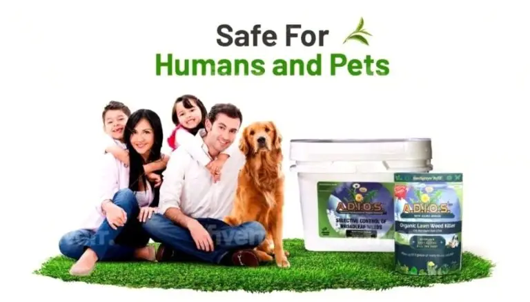 pet safe weed killer selective organic herbicide lawn application