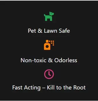 pet safe weed killer fast acting lawn safe non toxic odorless weed control kills weeds to the root