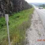 ragweed control 7 days after organic herbicide treatment roadside